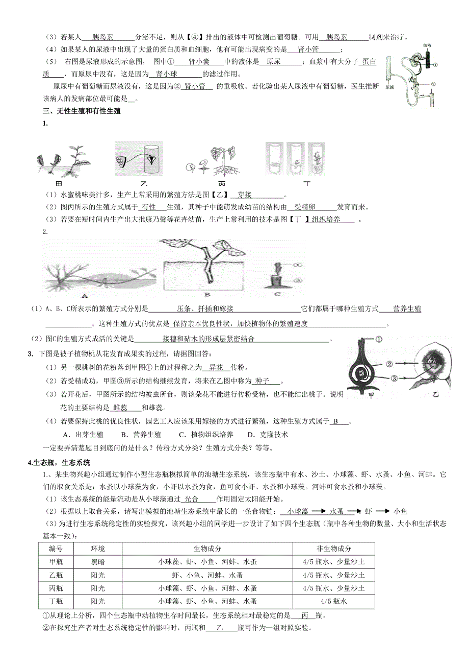 初中生物易错题.doc_第2页