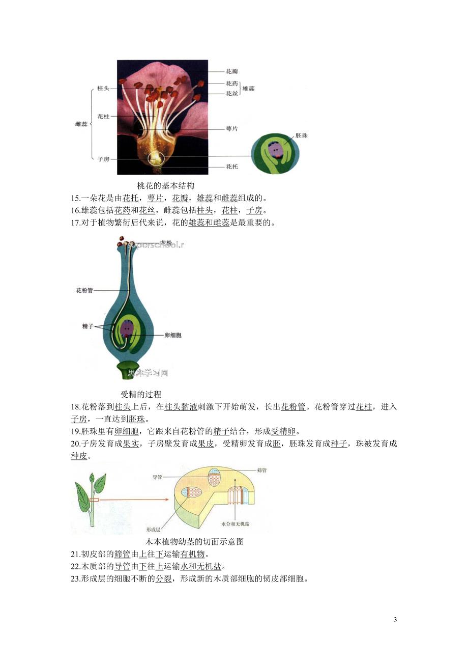 生地会考复习资料：初中生物图集(附题目)[1]1(最新整理By阿拉蕾).doc_第3页