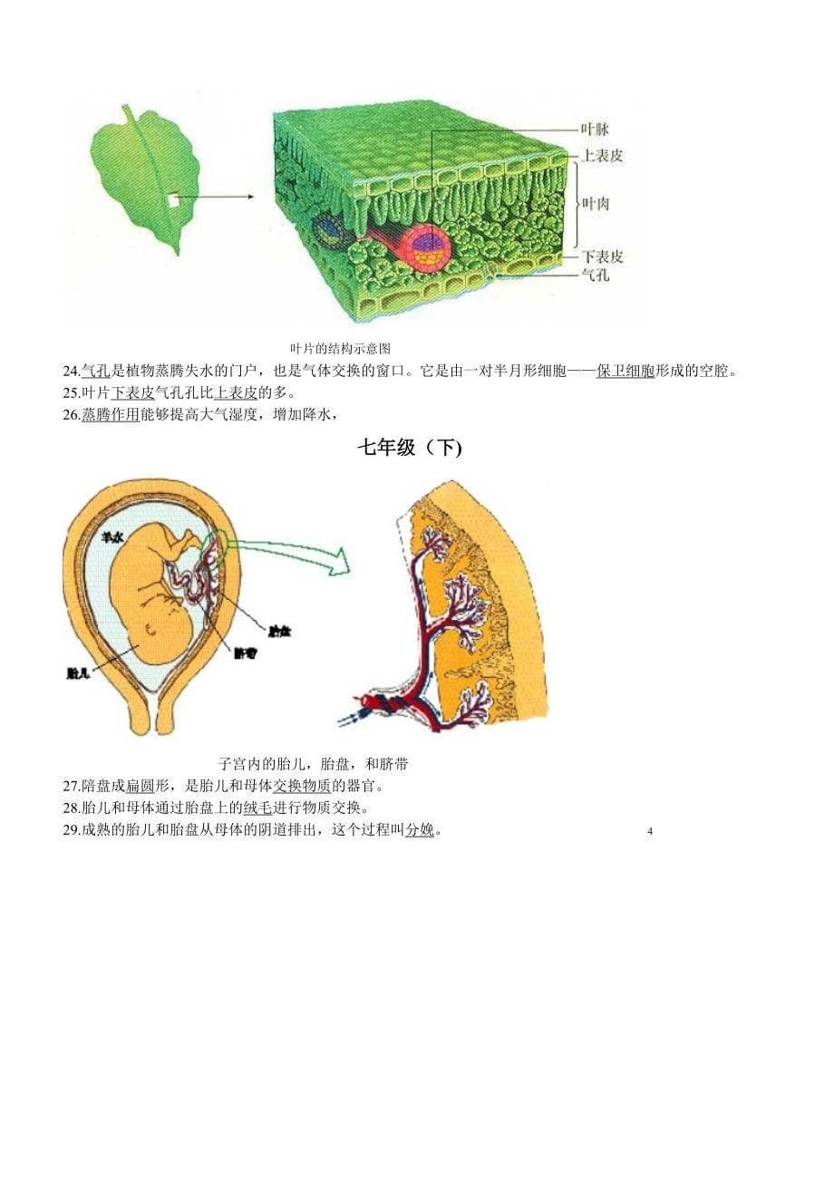 生地会考复习资料：初中生物图集(附题目)(人教版)(最新整理By阿拉蕾).doc_第5页