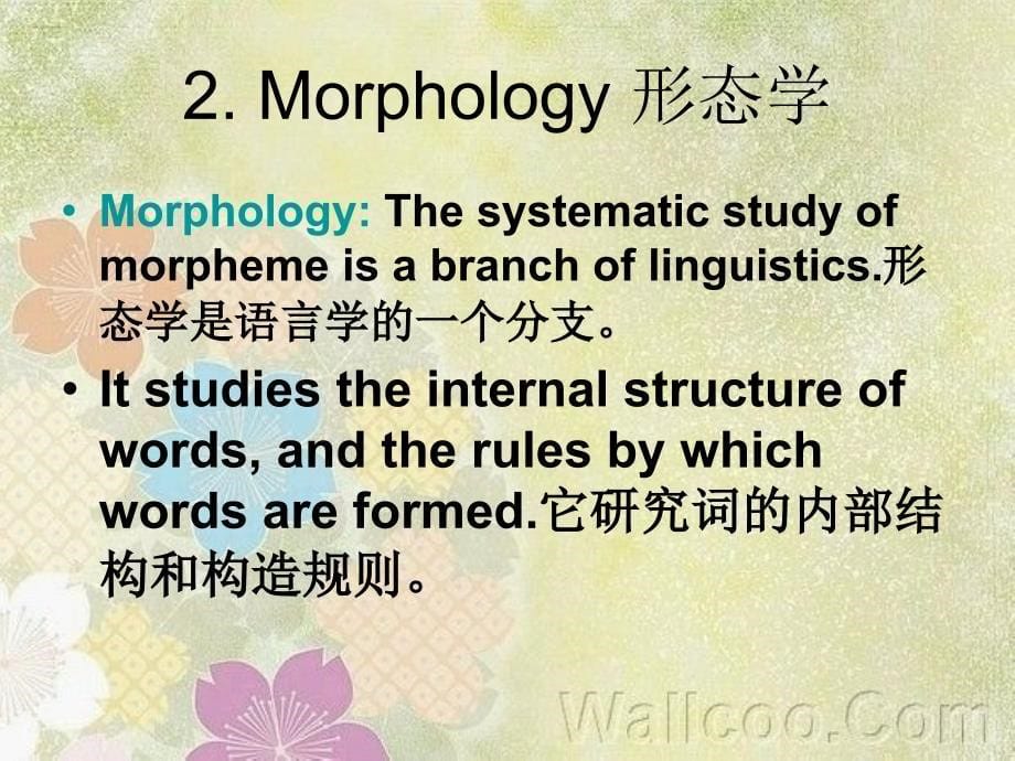 语言学morpheme_第5页