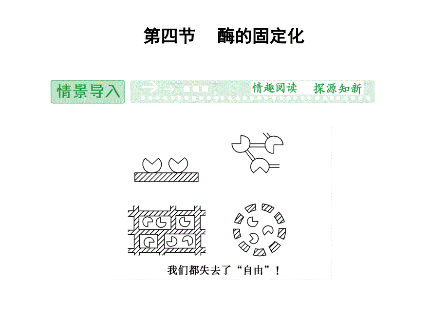 酶的固定化课件_第1页