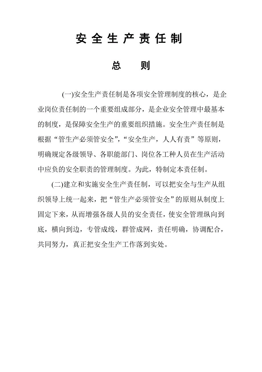 安全生产责任制(总则、各级、各部门)资料_第3页