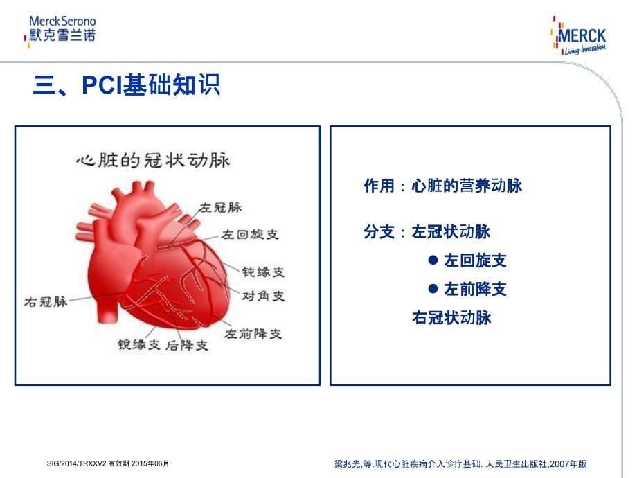 pci手术介绍-6.19_第5页