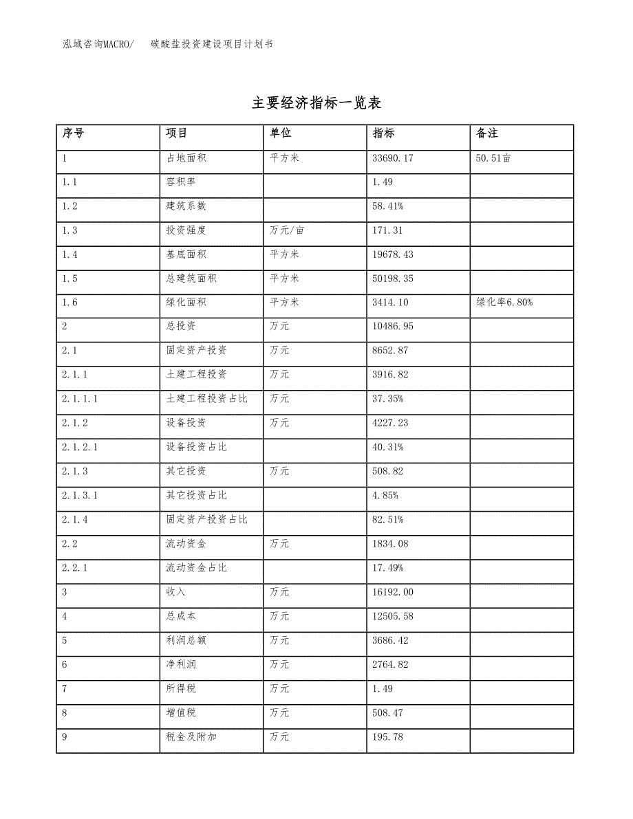 立项碳酸盐投资建设项目计划书_第5页