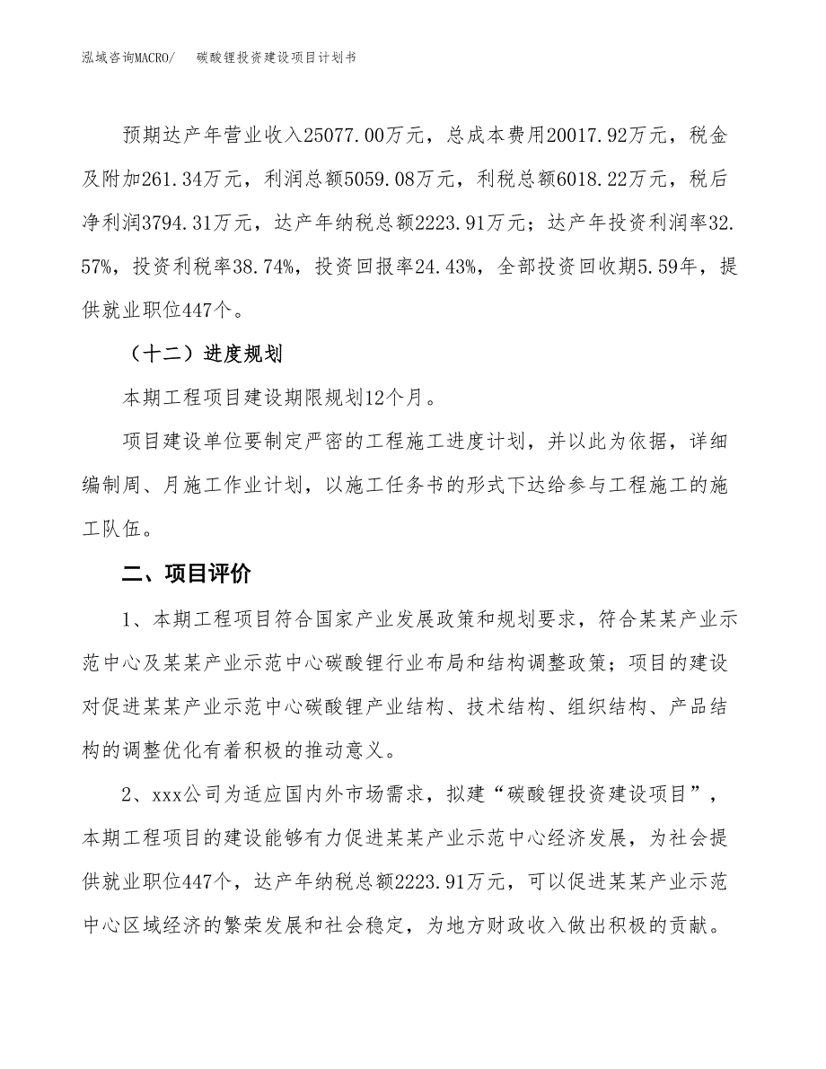 立项碳酸锂投资建设项目计划书_第3页