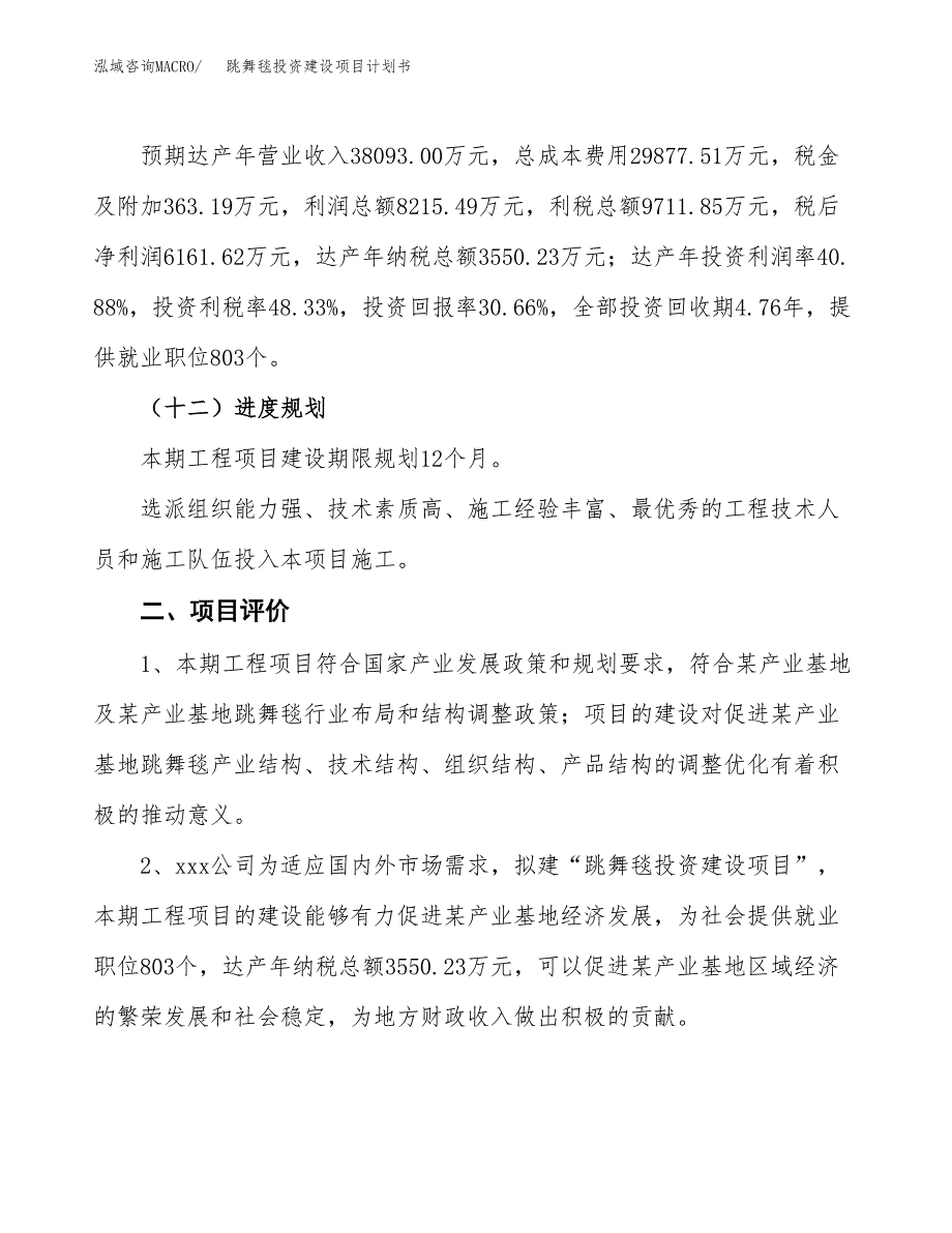 立项跳舞毯投资建设项目计划书_第3页