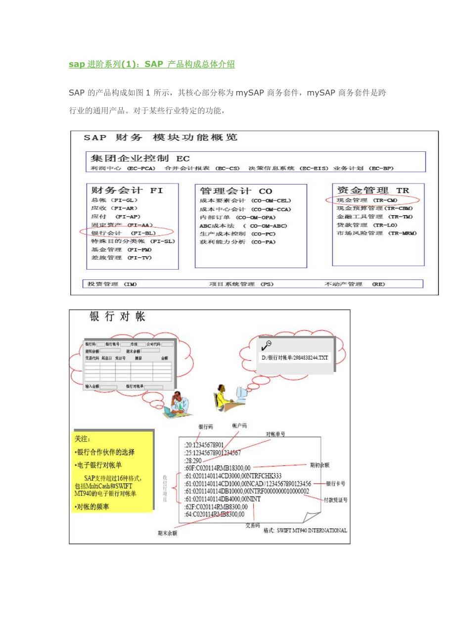 sap进阶财务总览之总账、应收和应付_第1页