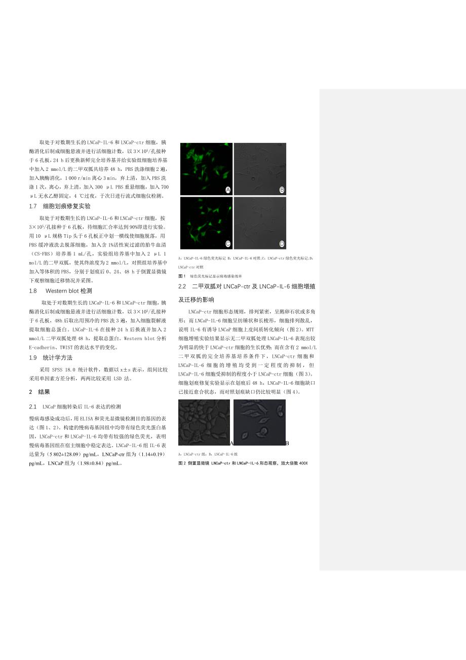 IL-6-诱导LNCaP-上皮间质转化(EMT)并增强细胞对抗雄_第3页