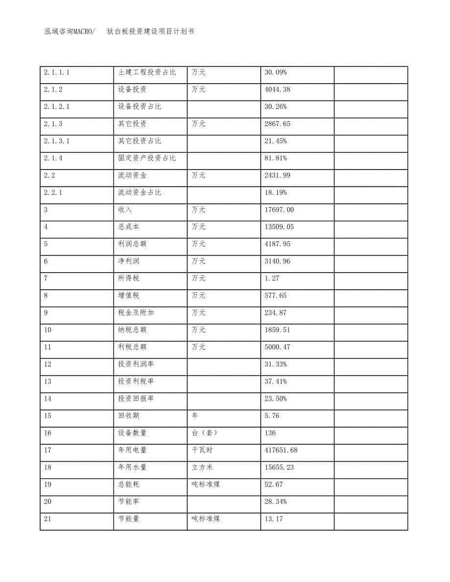 立项钛白板投资建设项目计划书_第5页