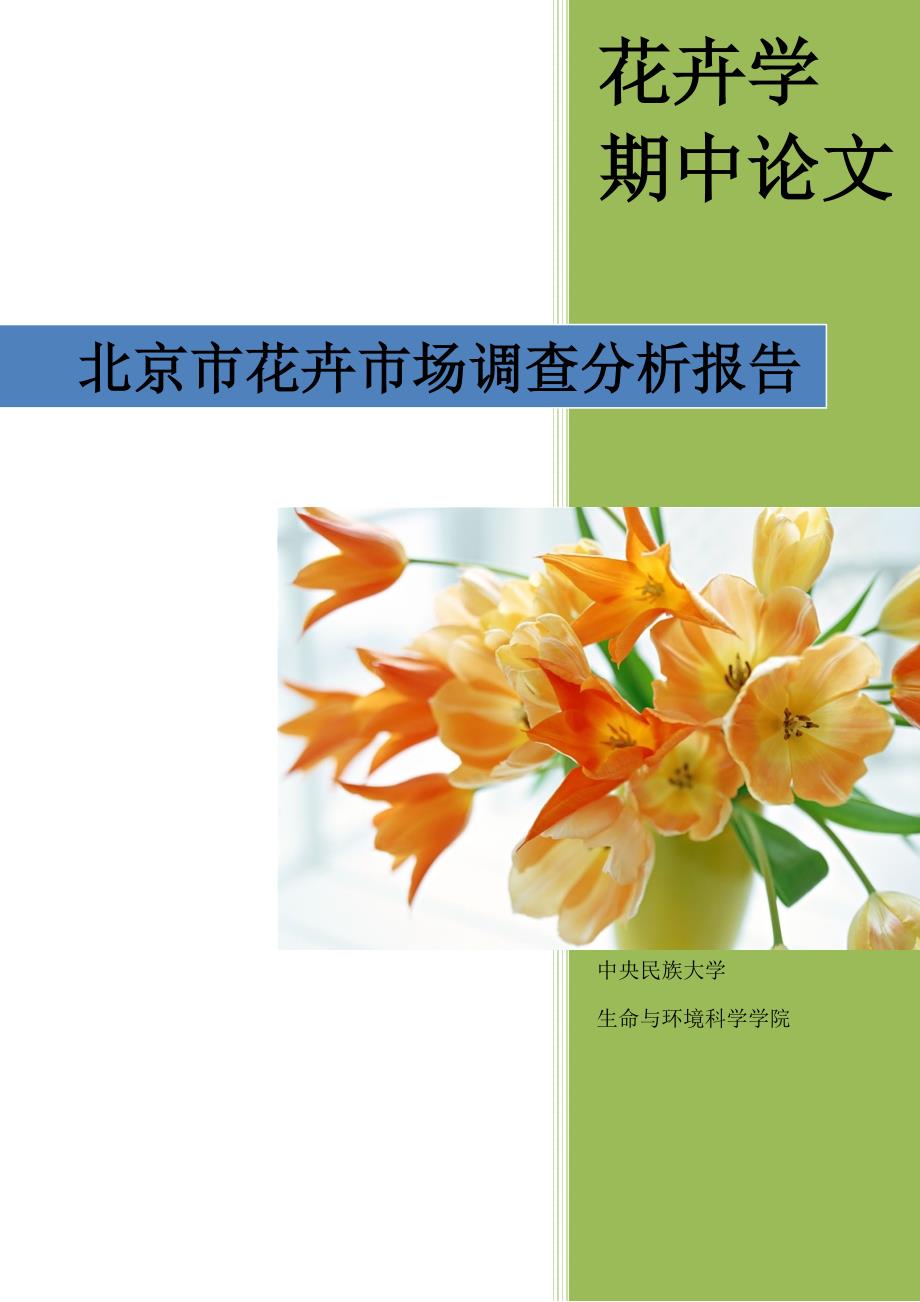 北京市花卉市场调查分析报告_第2页
