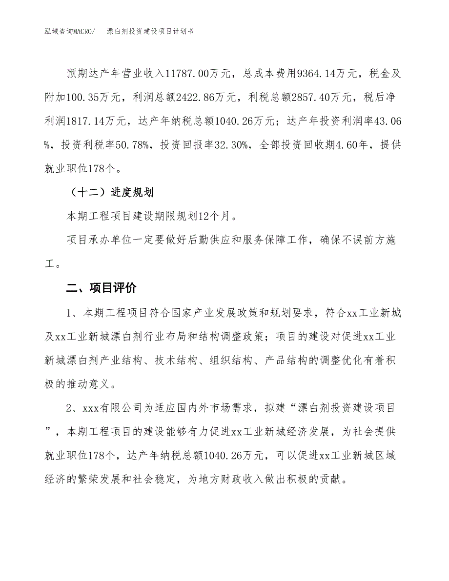 立项漂白剂投资建设项目计划书_第3页