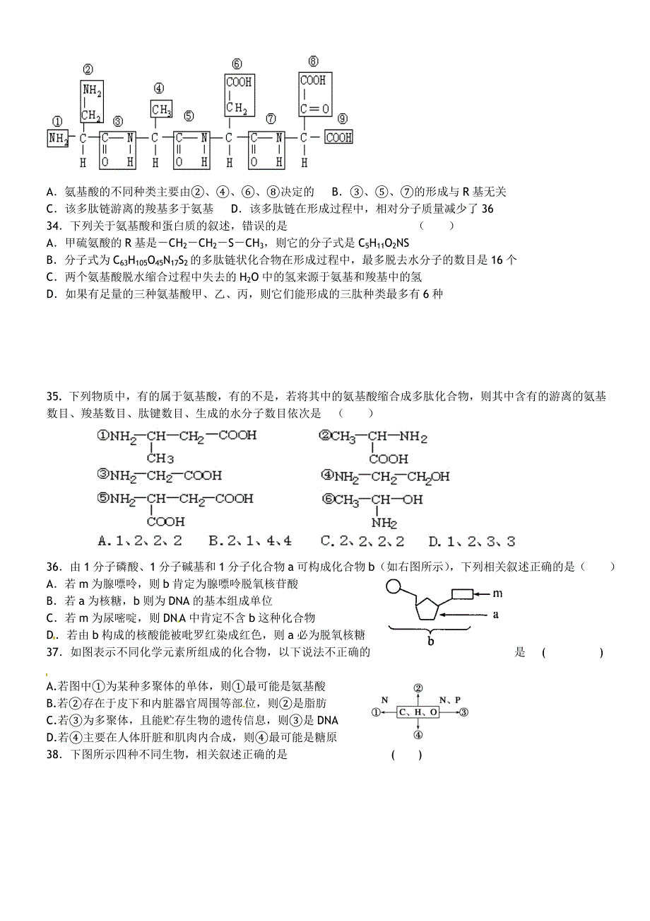 2012-2013年高一生物期中试题_第4页