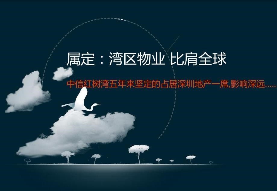 中信红树湾经典案例分享.pdf_第5页