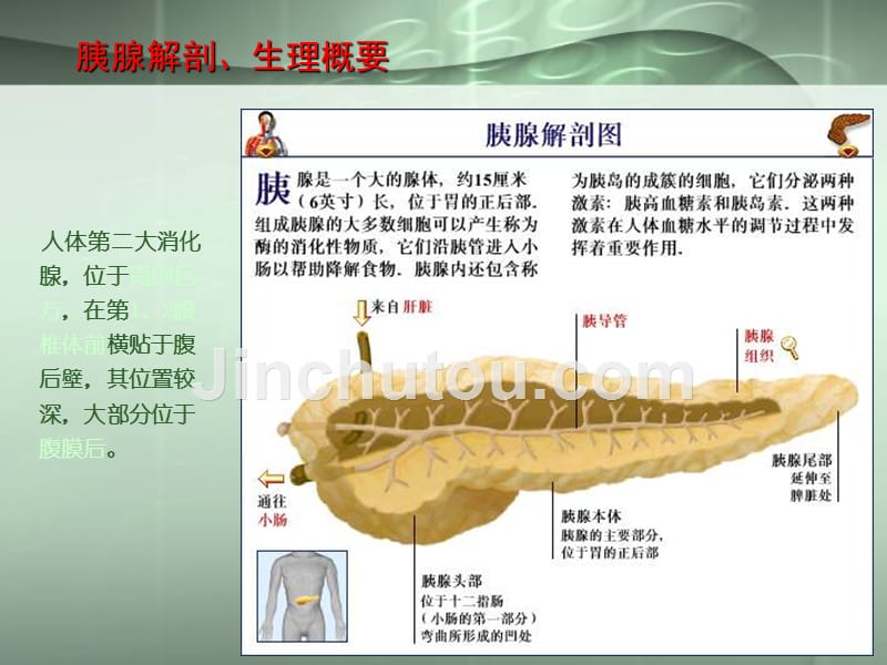 胰腺疾病的ct诊断 2_第3页