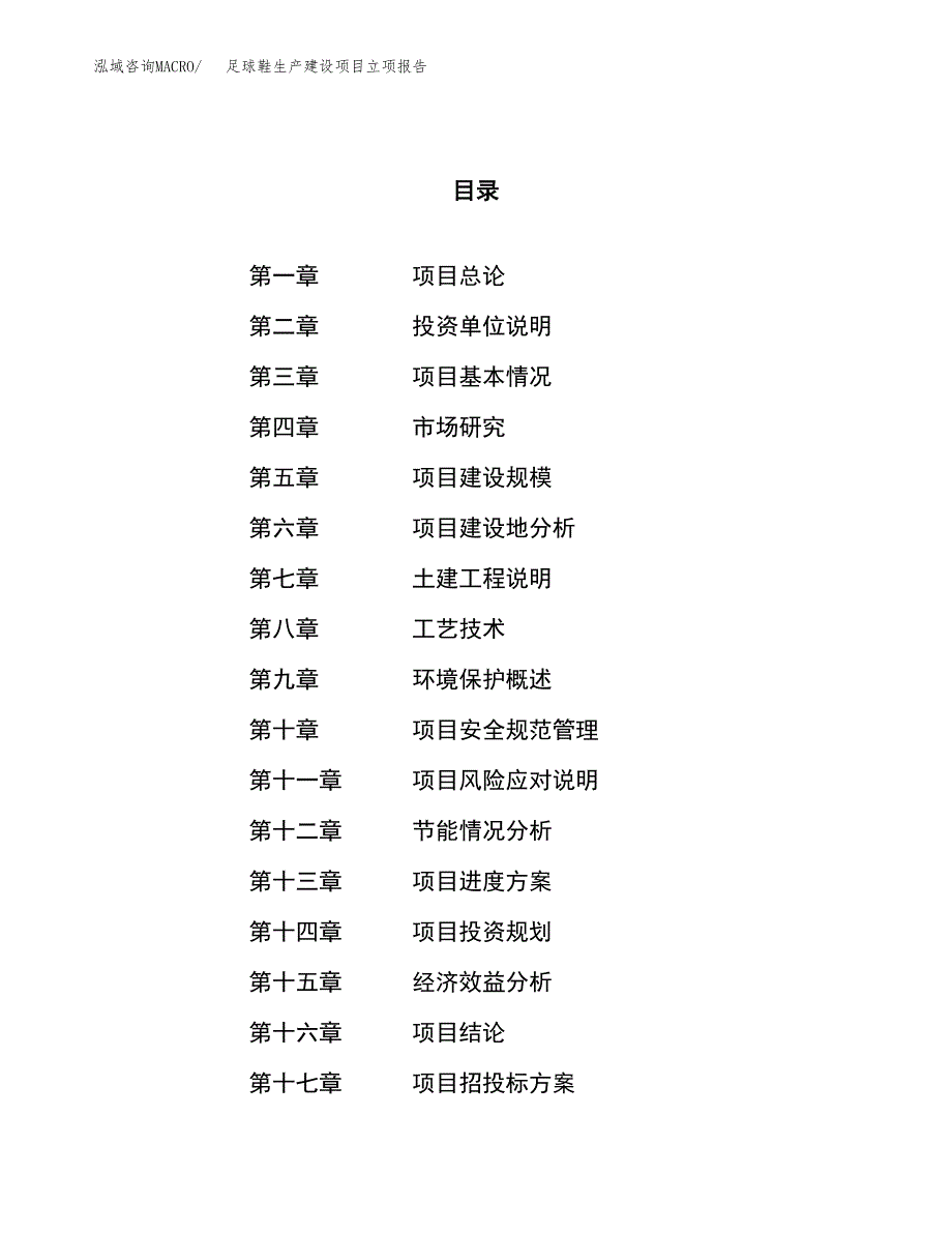 （模板）足球鞋生产建设项目立项报告_第1页