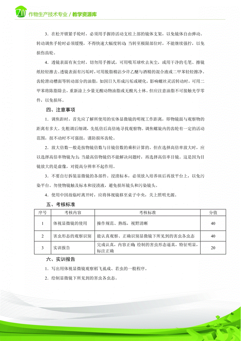 昆虫的形态特征-技能训练手册_第4页