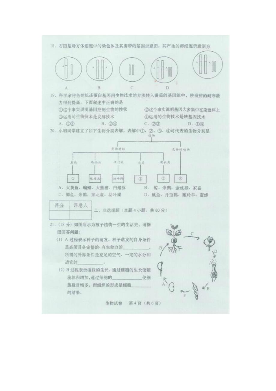 2013桐城市初中生物会考试卷_第4页