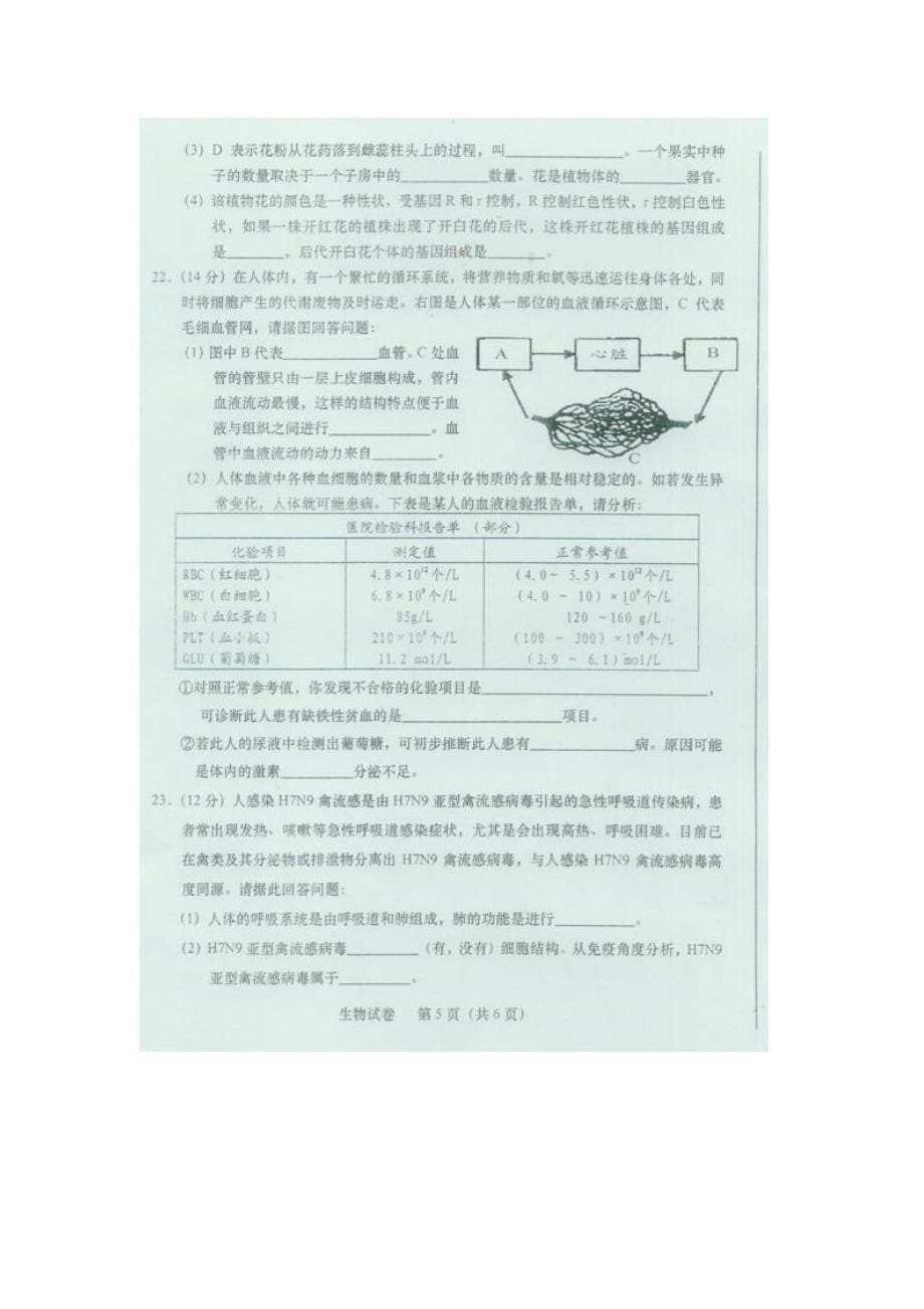 2013桐城市初中生物会考试卷_第5页