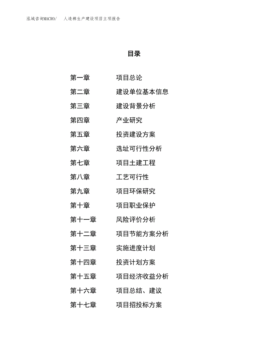 （模板）人造棉生产建设项目立项报告_第1页