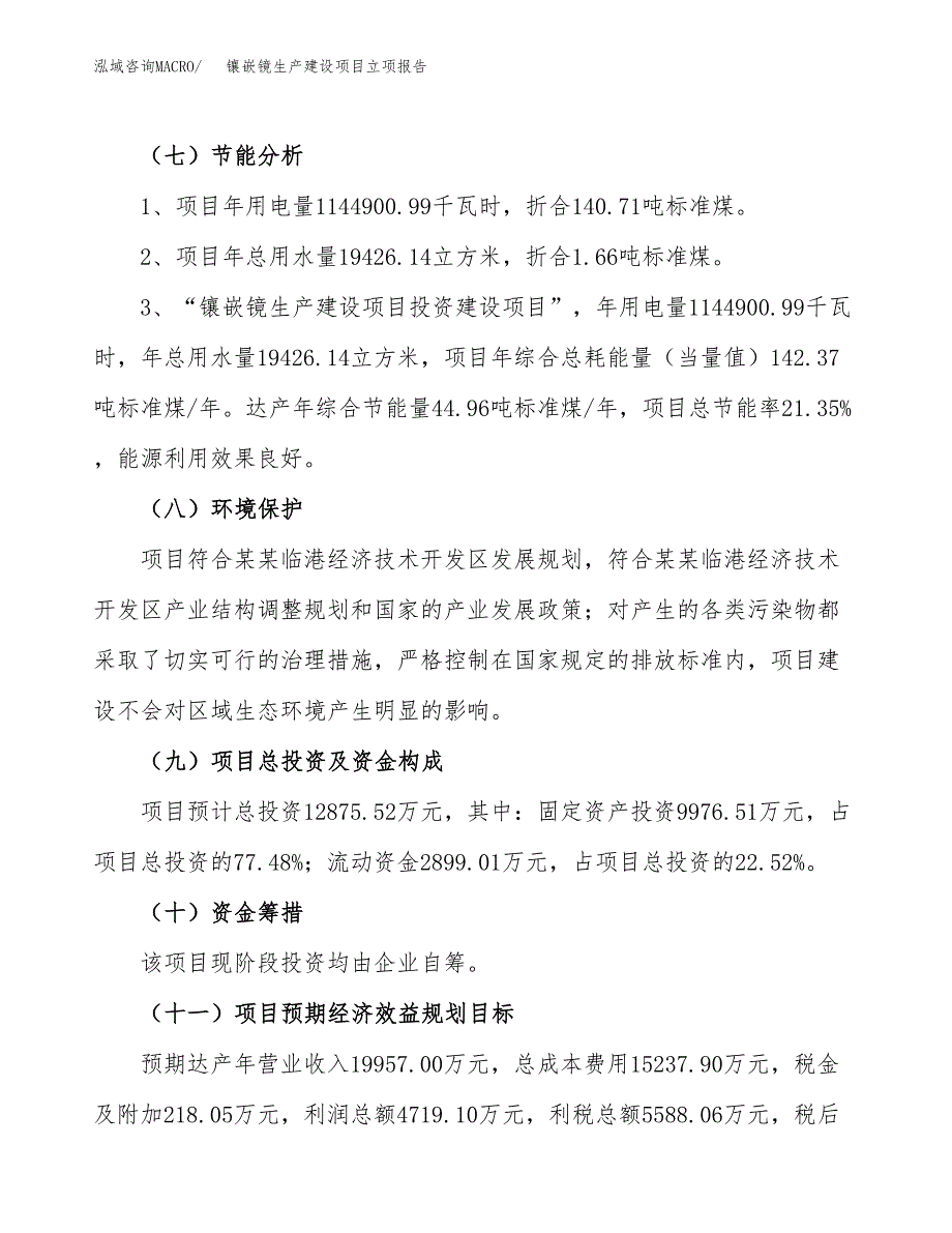 （模板）镶嵌镜生产建设项目立项报告_第3页