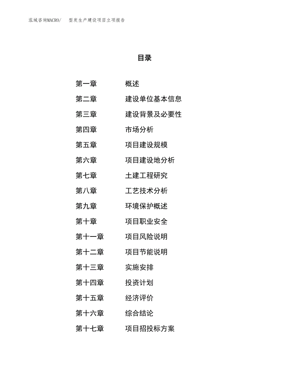 （模板）型炭生产建设项目立项报告_第1页