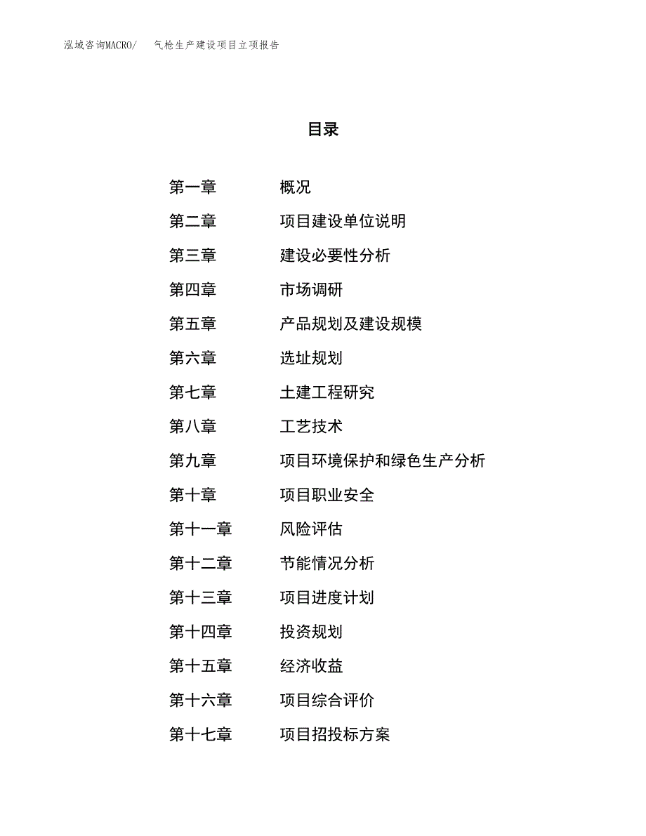 （模板）气枪生产建设项目立项报告_第1页