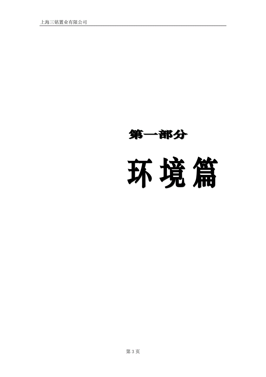 松江金海岸商业项目营销策划报告_第3页