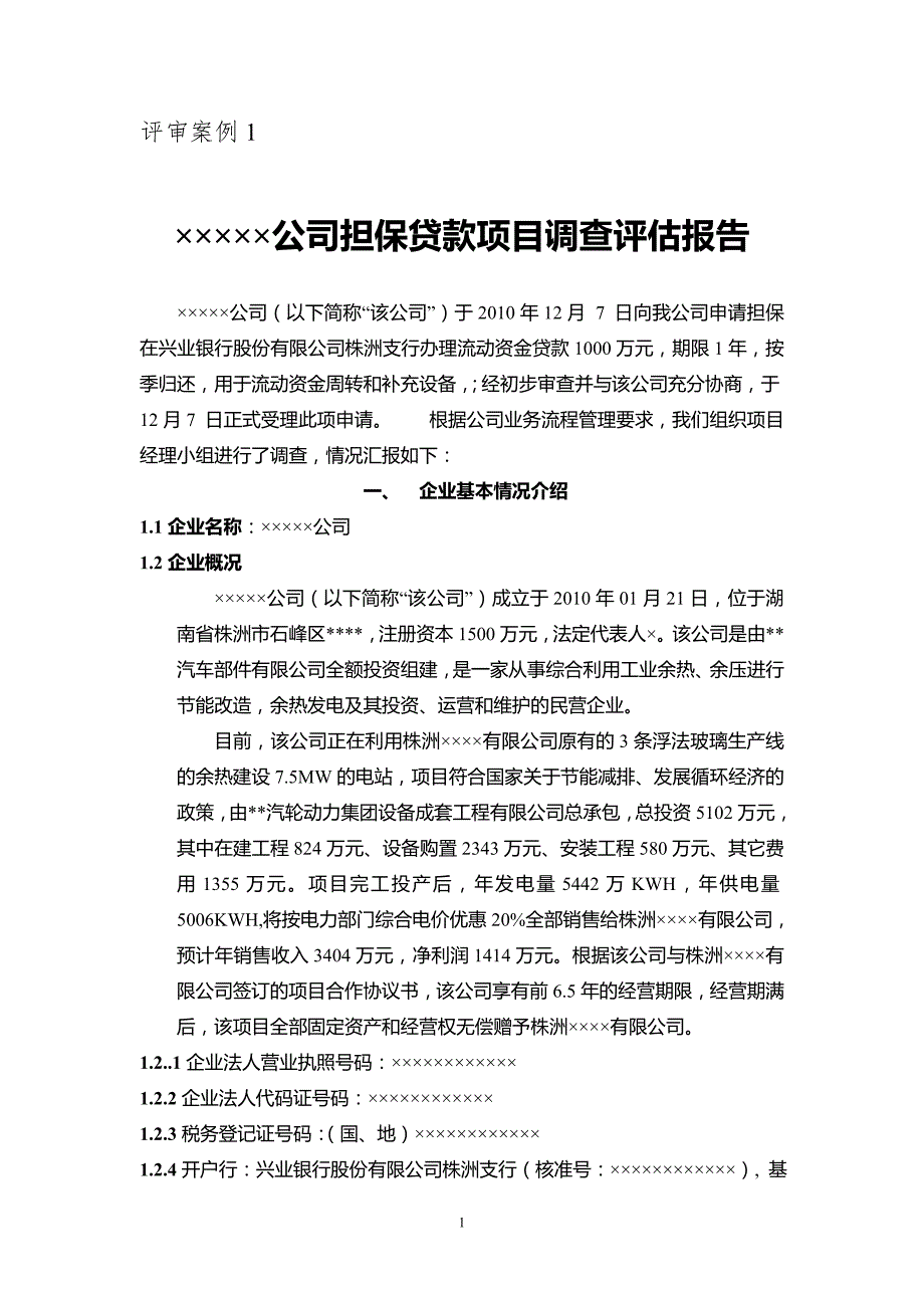 担保贷款项目调查报告及评审案例分析_第1页