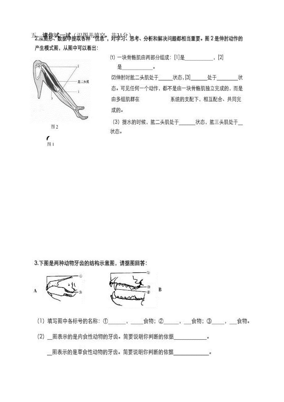 2011--2012年初二生物学业水平测试卷_第5页