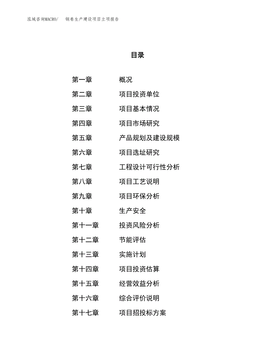 （模板）钢卷生产建设项目立项报告_第1页