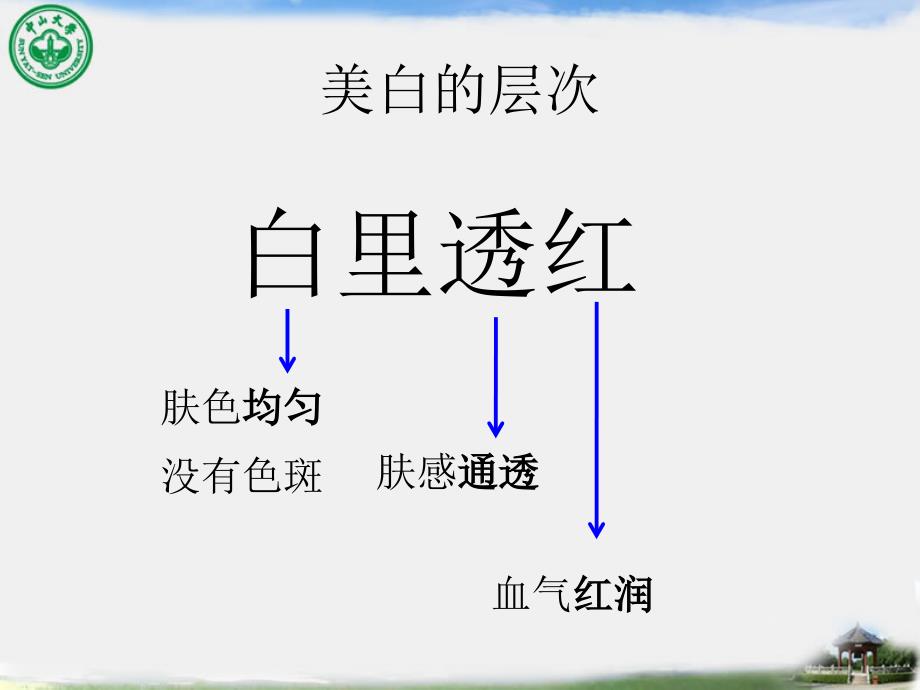 中山大学叶剑清美容课之美白_第4页