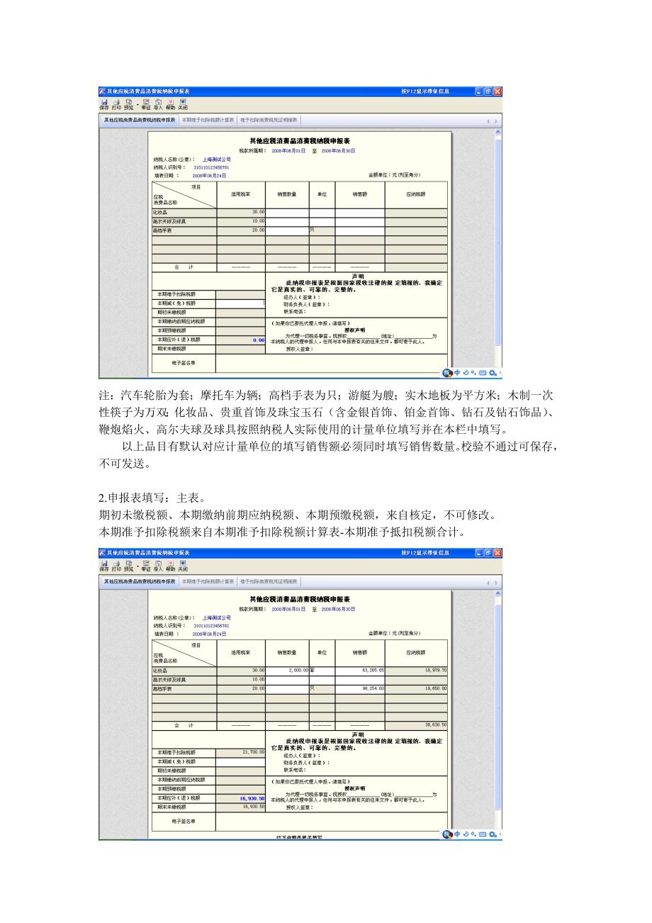 网上申报新消费税使用说明_第2页