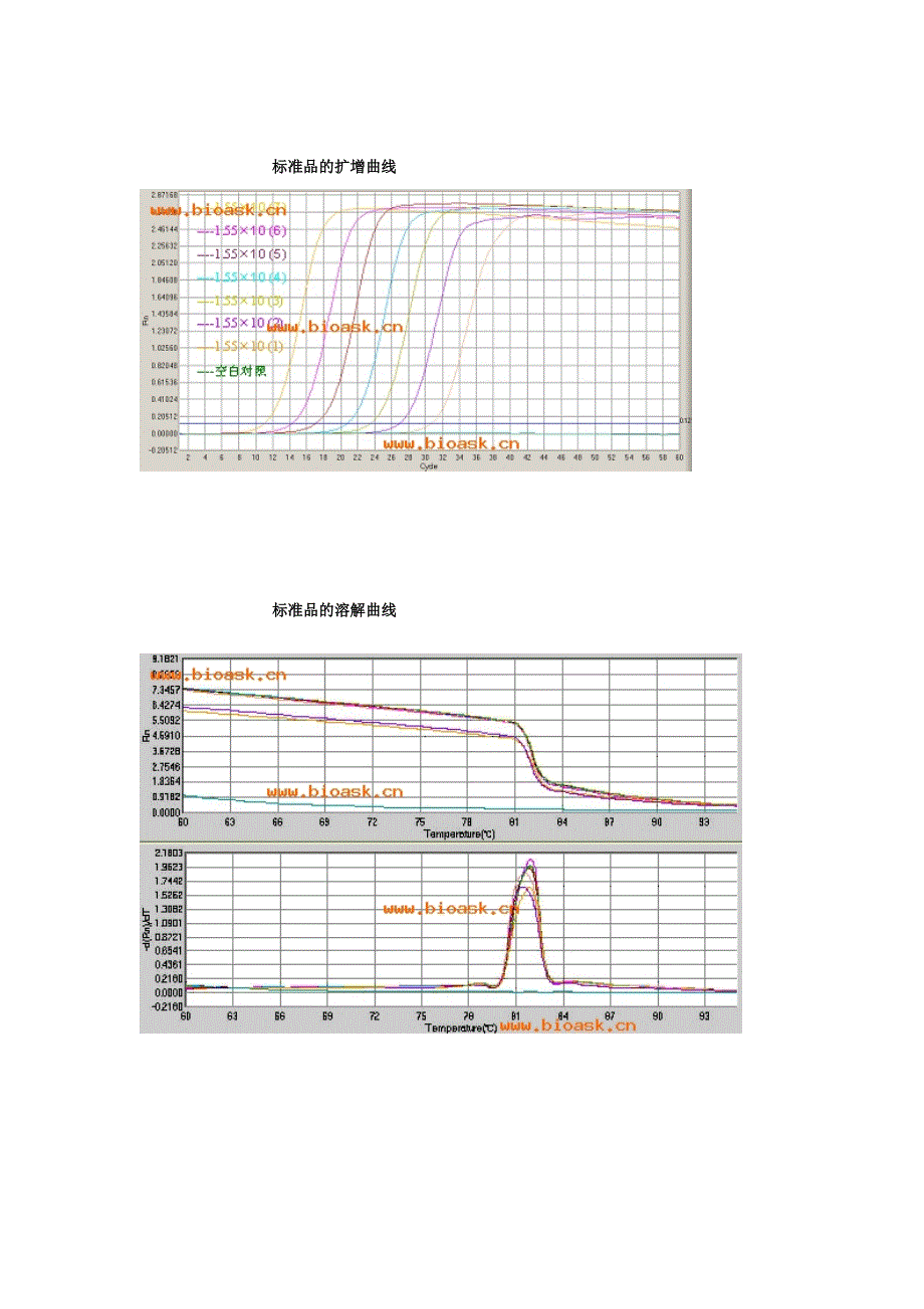 real-time-PCR-标准曲线制作_第3页