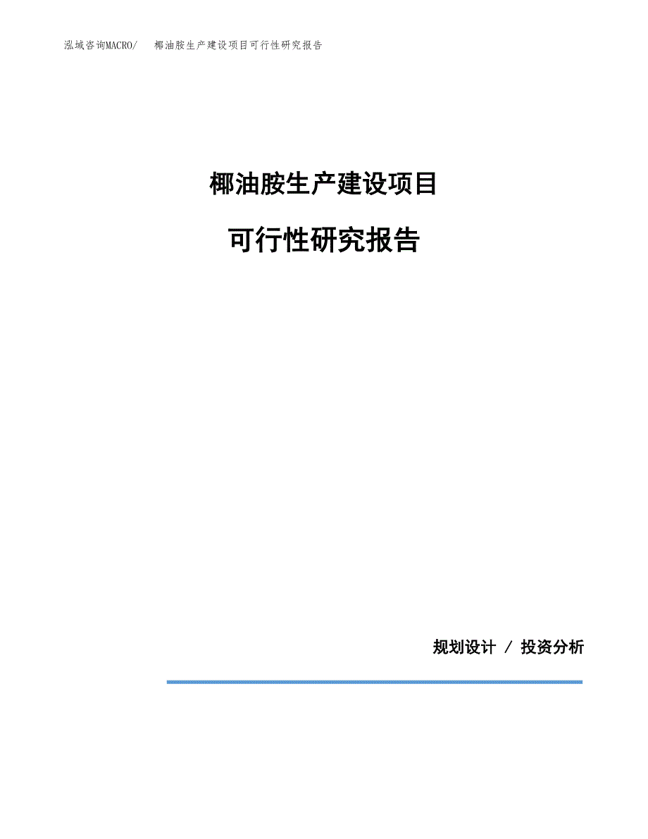 范文椰油胺生产建设项目可行性研究报告_第1页