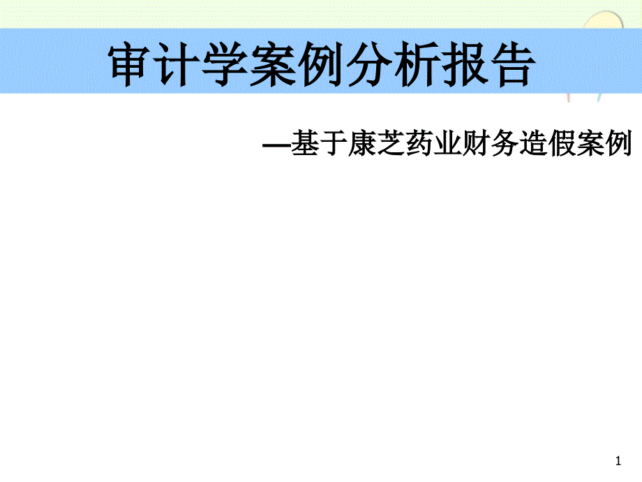 最新审计案例分析报告(修订版)_第1页