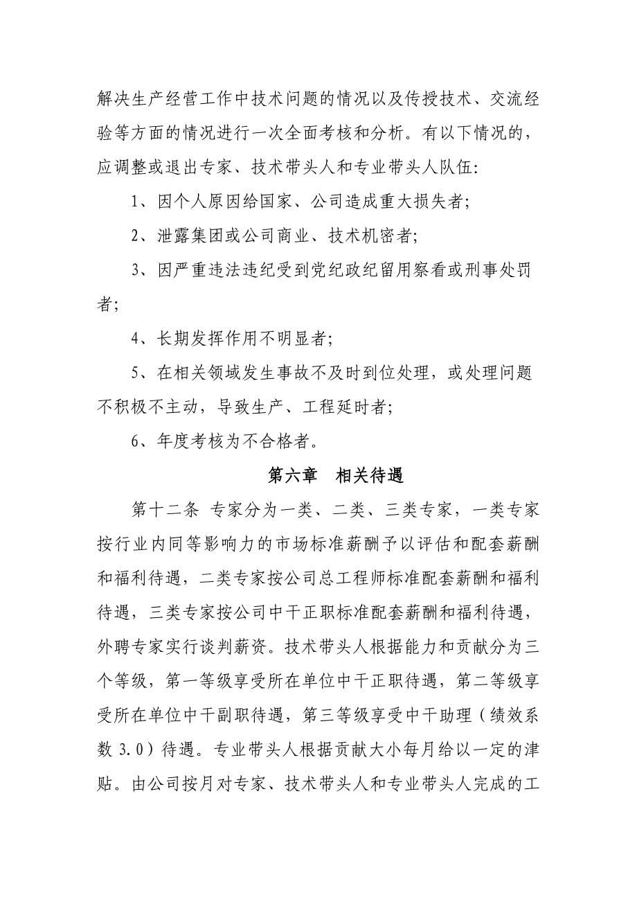 专家、技术带头人管理办法资料_第5页