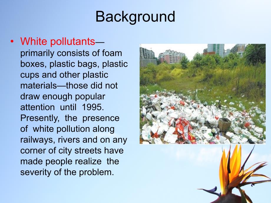 white-pollution_第3页