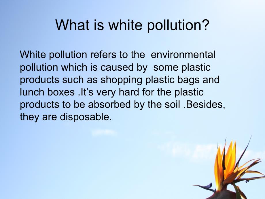 white-pollution_第4页
