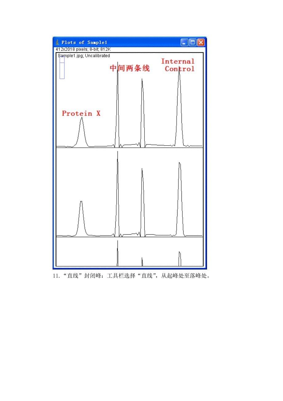 ImageJ对WesternBlot进行灰度分析_第5页