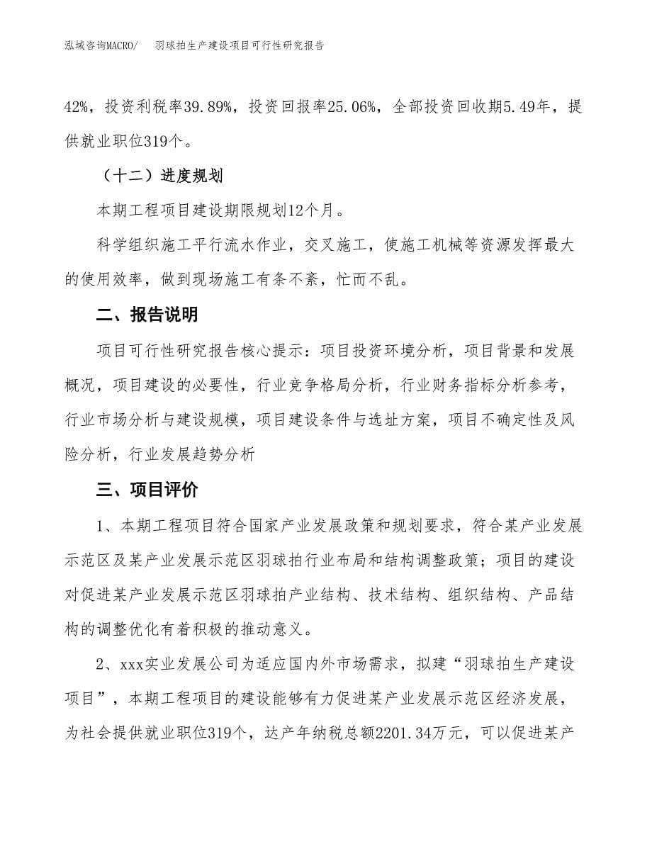 范文羽球拍生产建设项目可行性研究报告_第5页