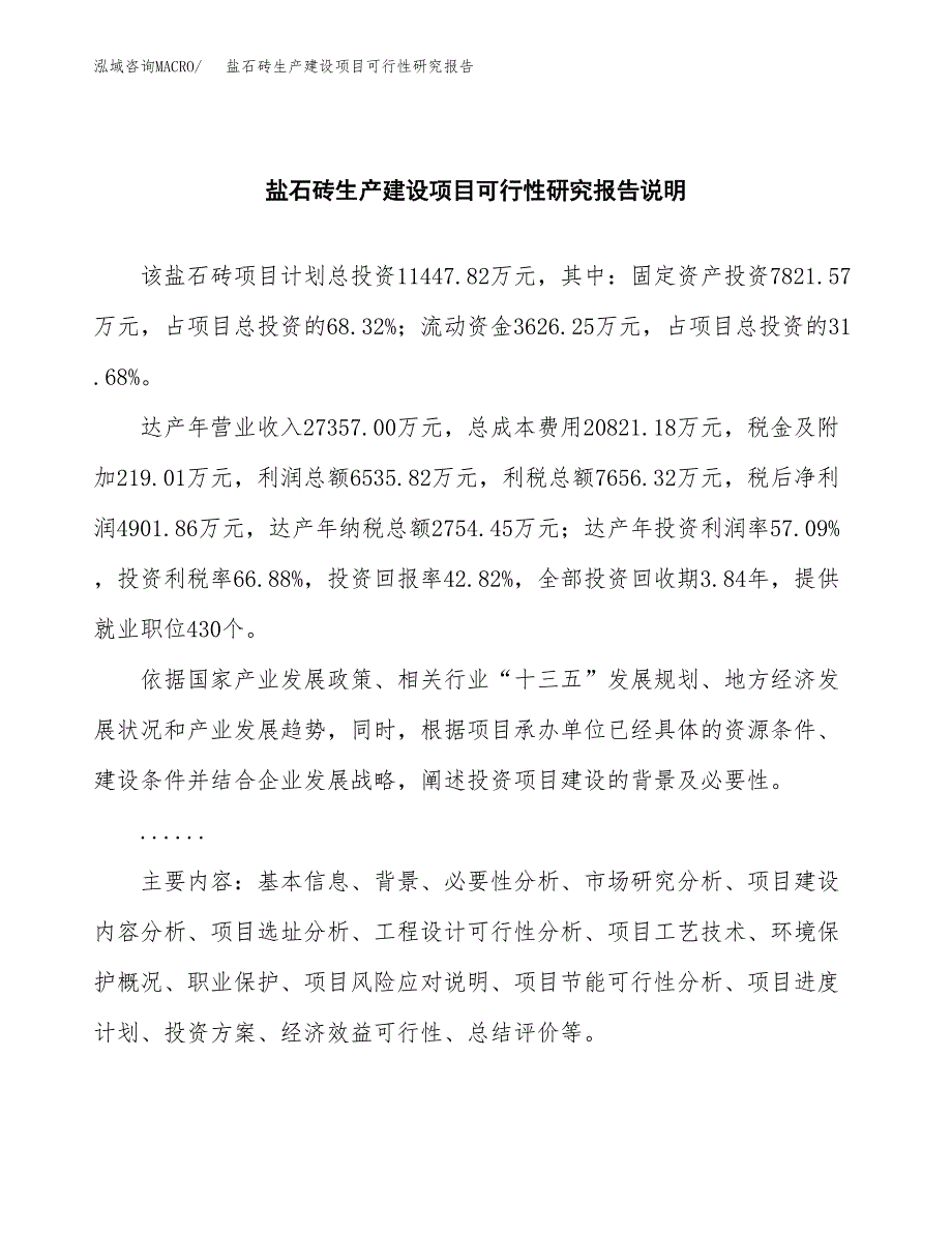 范文盐石砖生产建设项目可行性研究报告_第2页