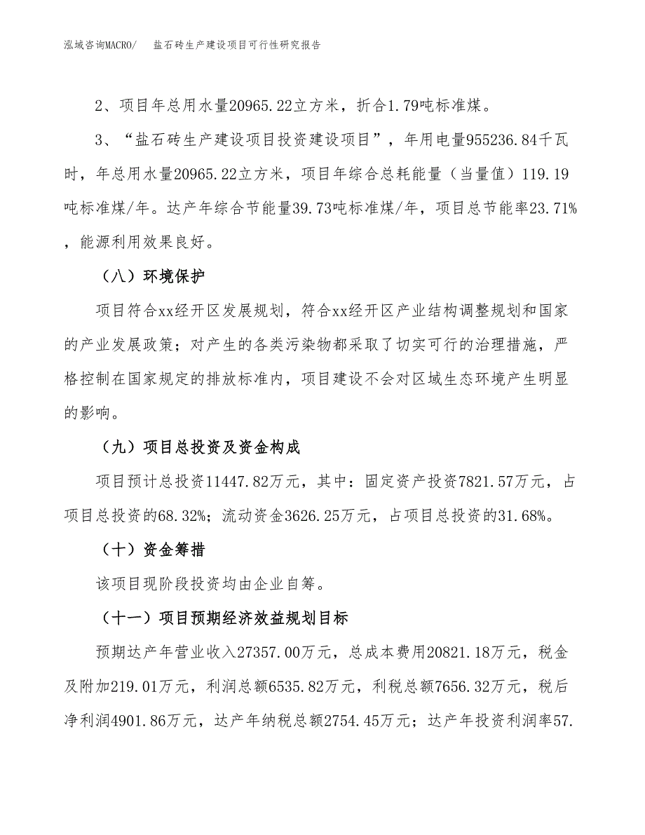 范文盐石砖生产建设项目可行性研究报告_第4页