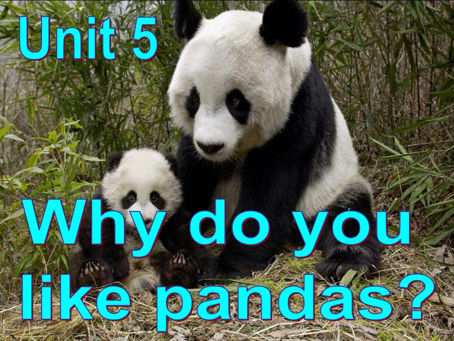 unit5-why-do-you-like-pandas课件_第2页