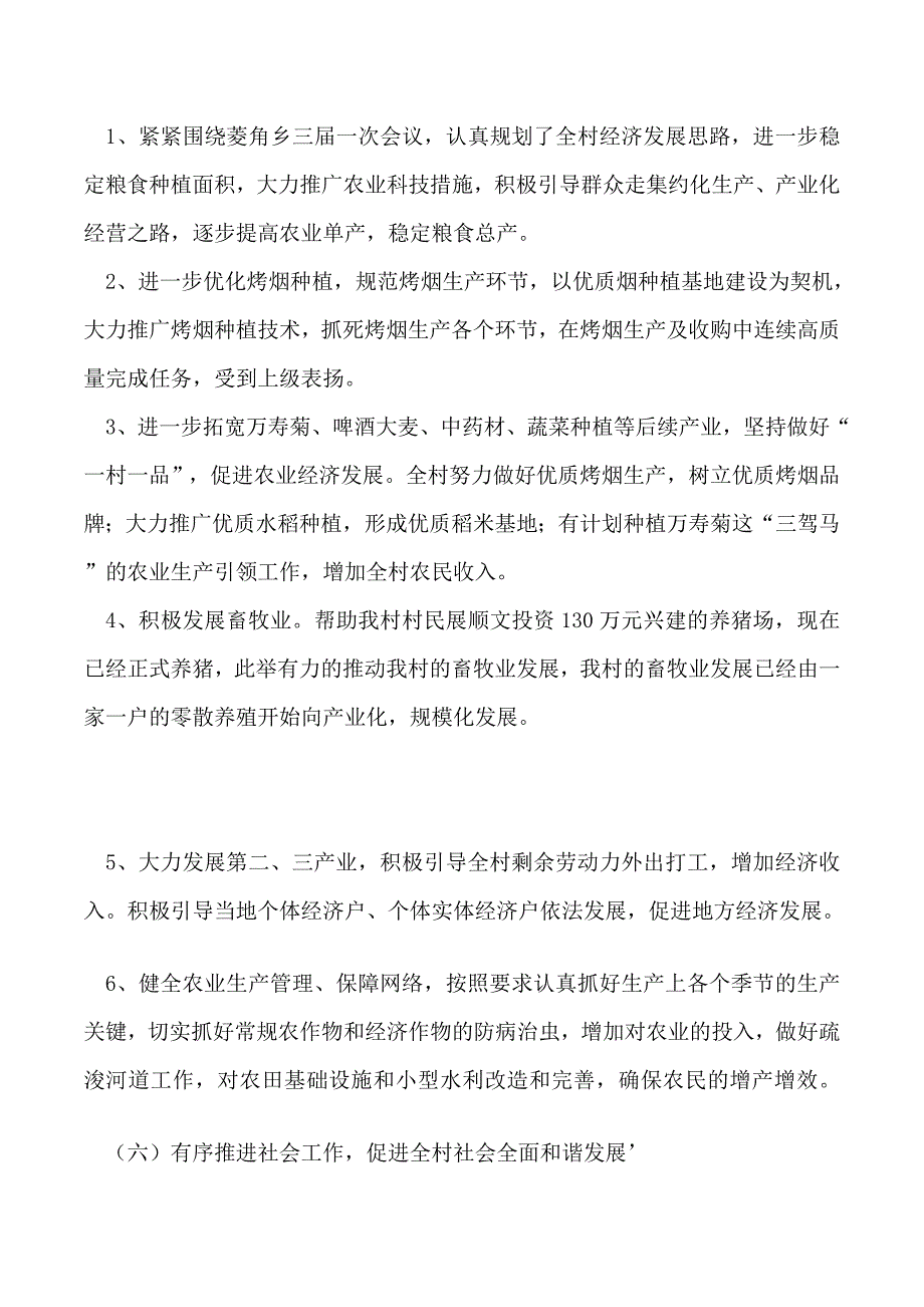 2019年村委会主任年终述职报告_第4页