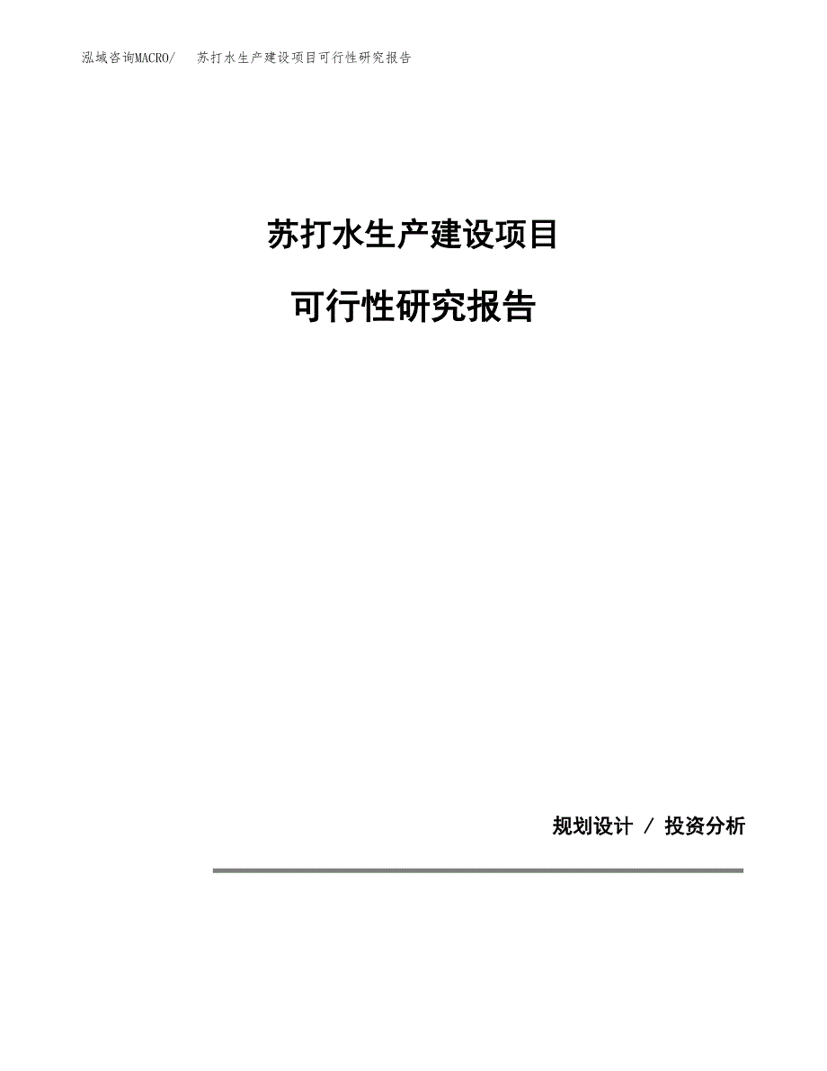 范文苏打水生产建设项目可行性研究报告_第1页