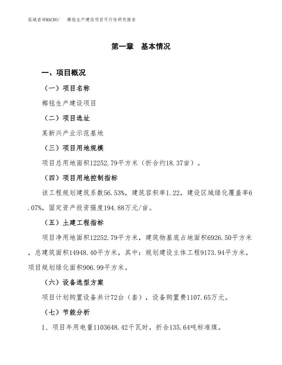 范文椰毯生产建设项目可行性研究报告_第3页