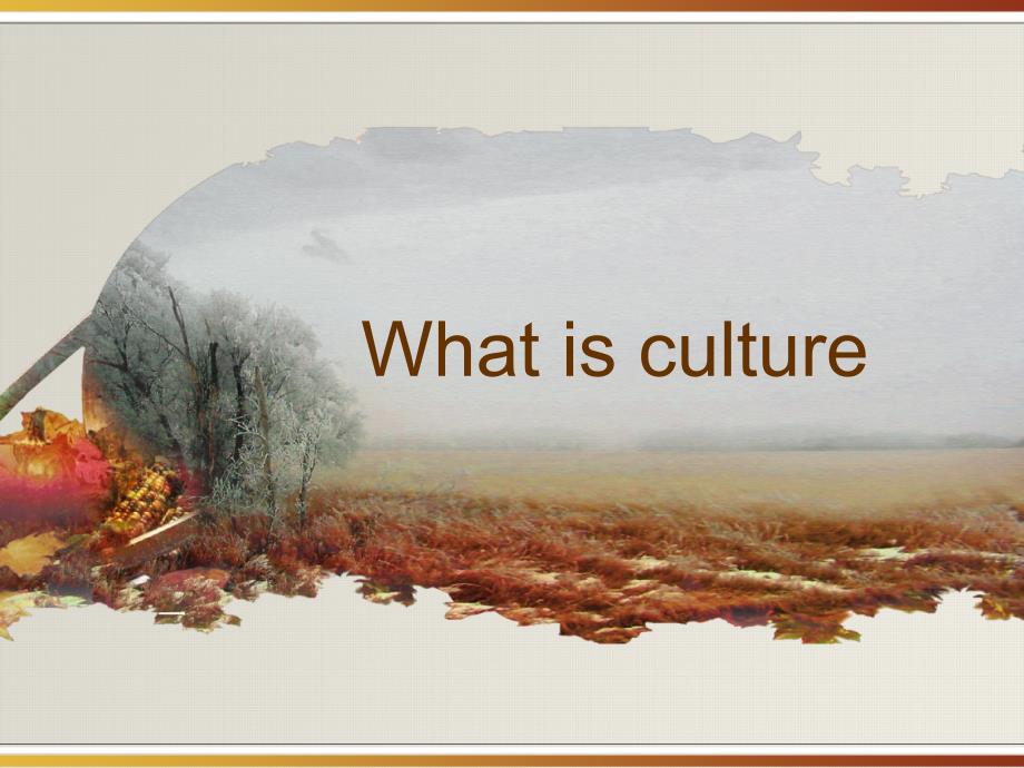 what-is-culture_第1页