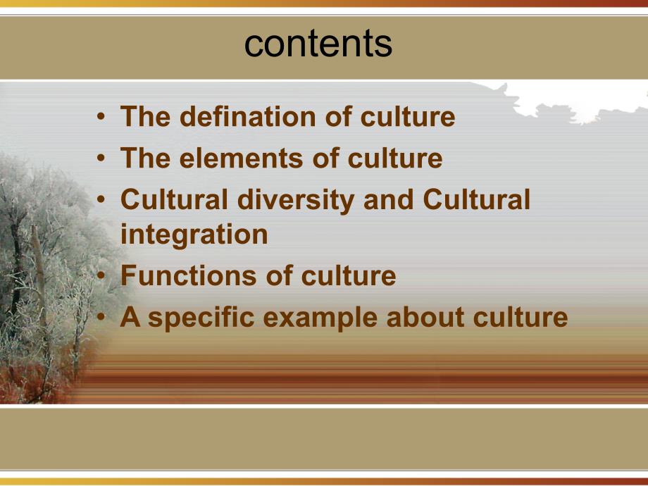 what-is-culture_第2页