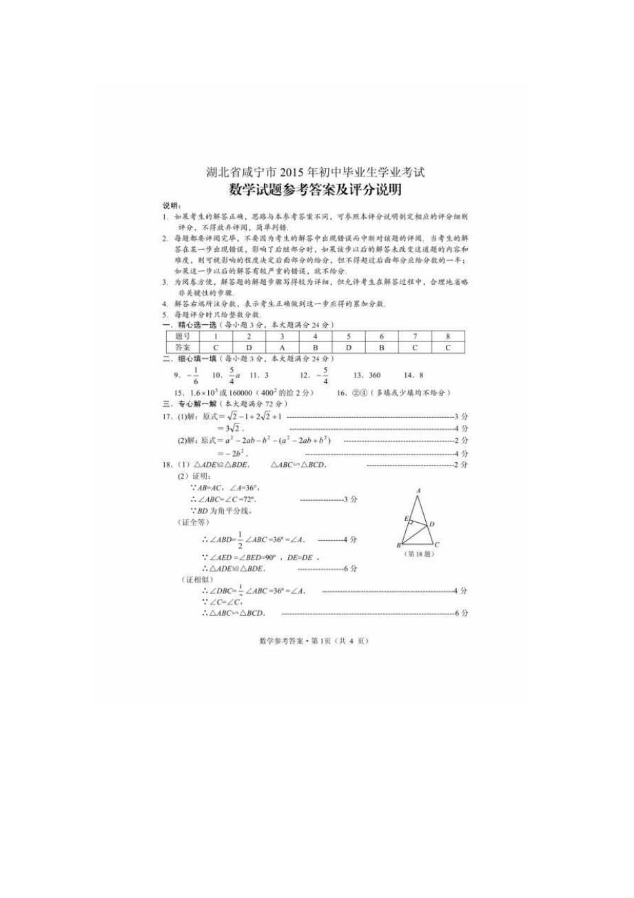 2015年咸宁市中考数学试卷_第5页