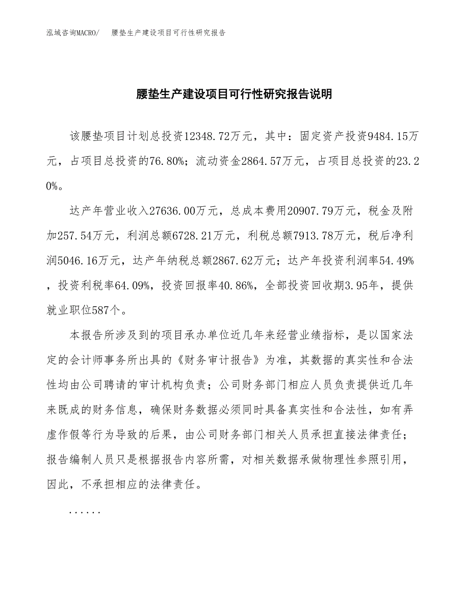 范文腰垫生产建设项目可行性研究报告_第2页